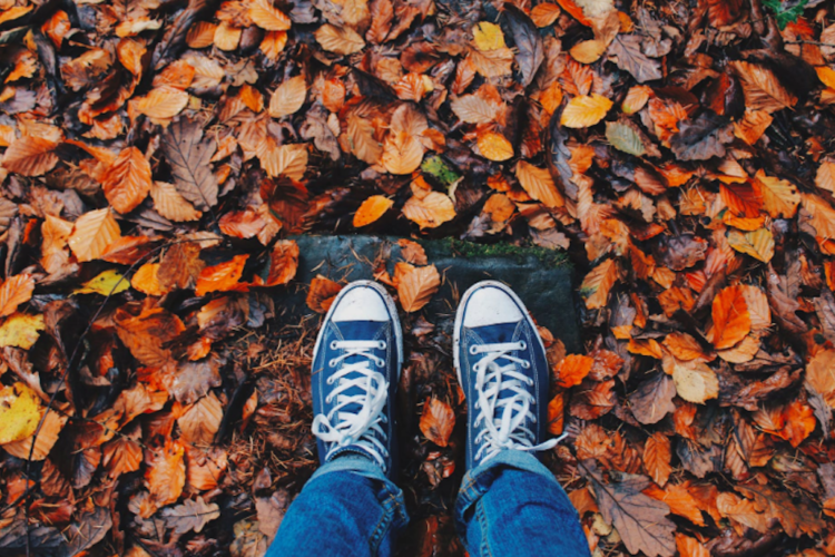 Seasons Autumn