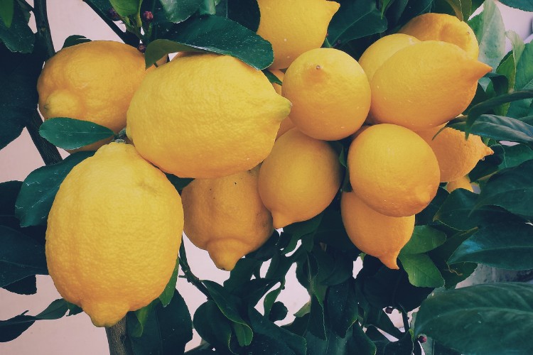 Why lemon water should be your new years resolution